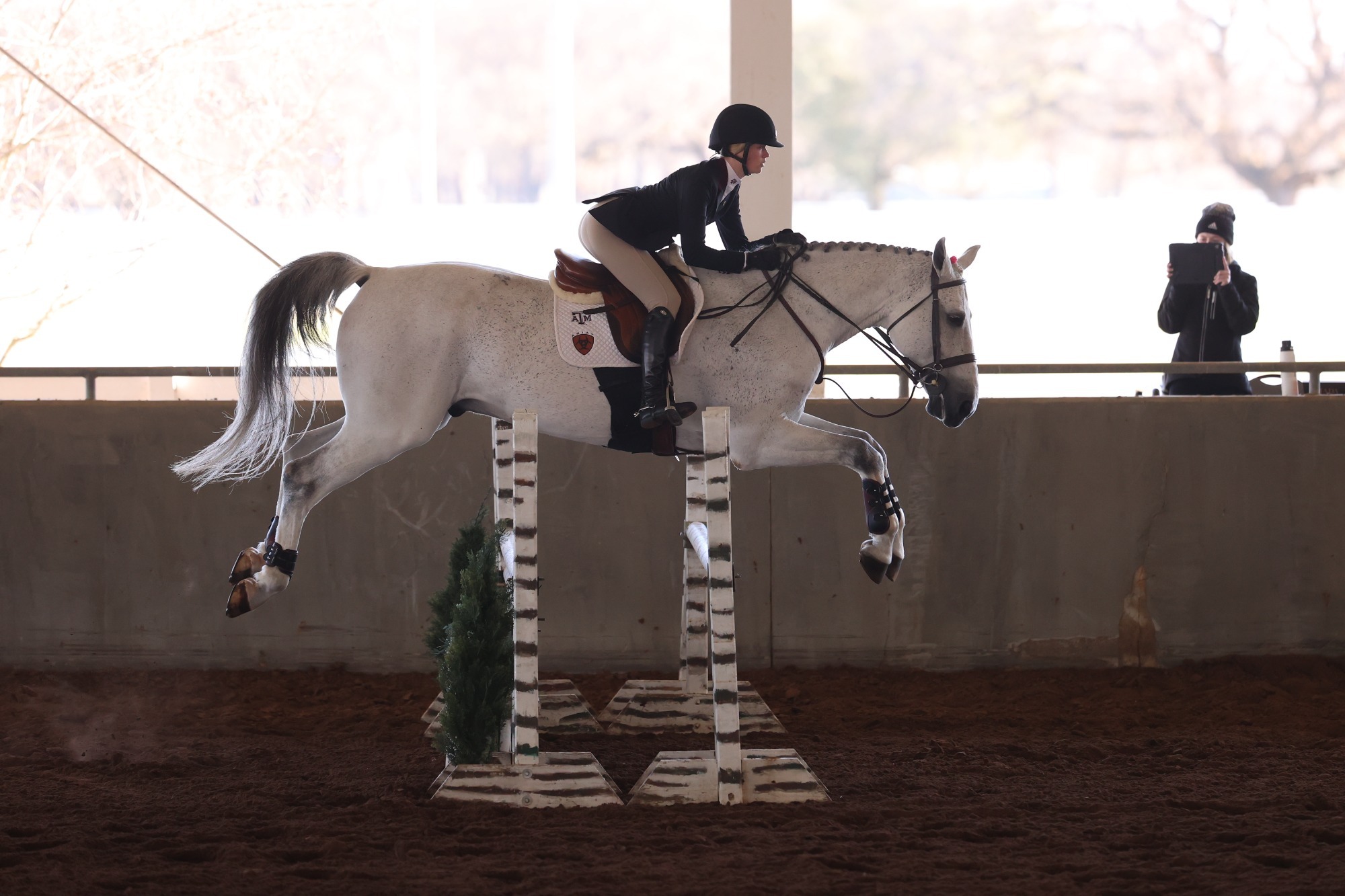 Haley Redifer Equestrian Texas A&M Athletics