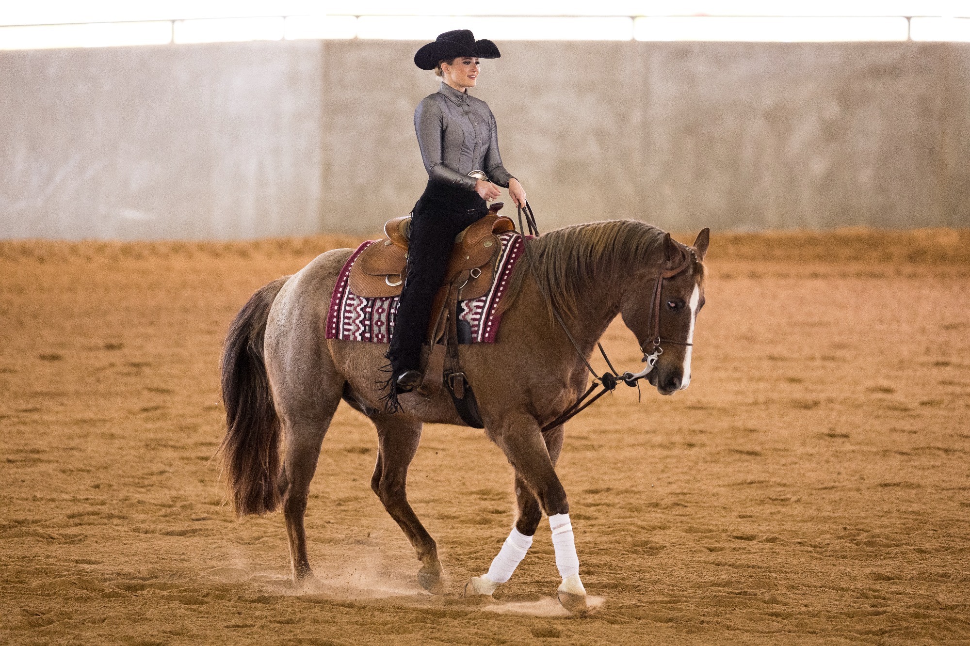 Alexis Robinson Equestrian Texas A&M Athletics