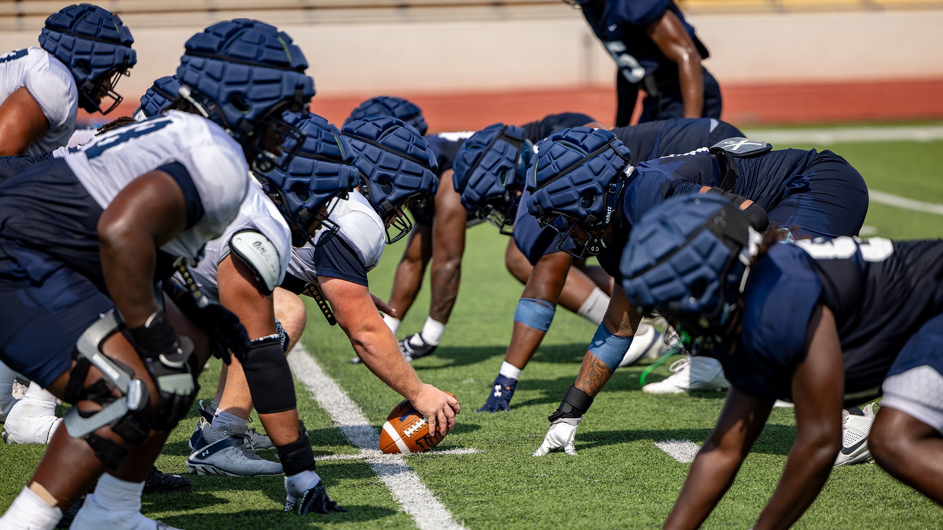 New seating layout announced for Lion Football, single game tickets now