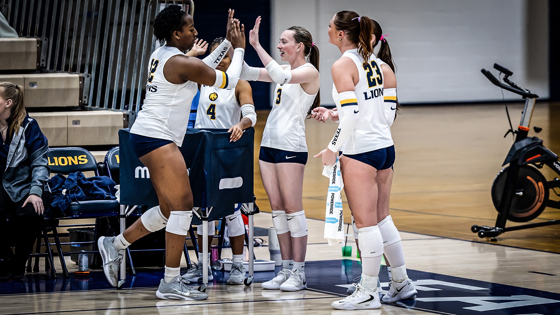 Volleyball Celebration