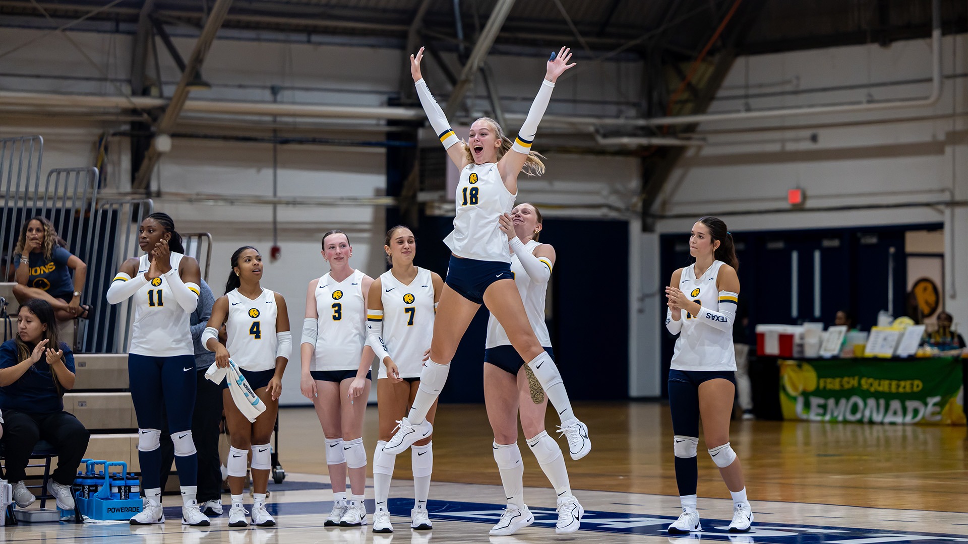 Volleyball Celebration