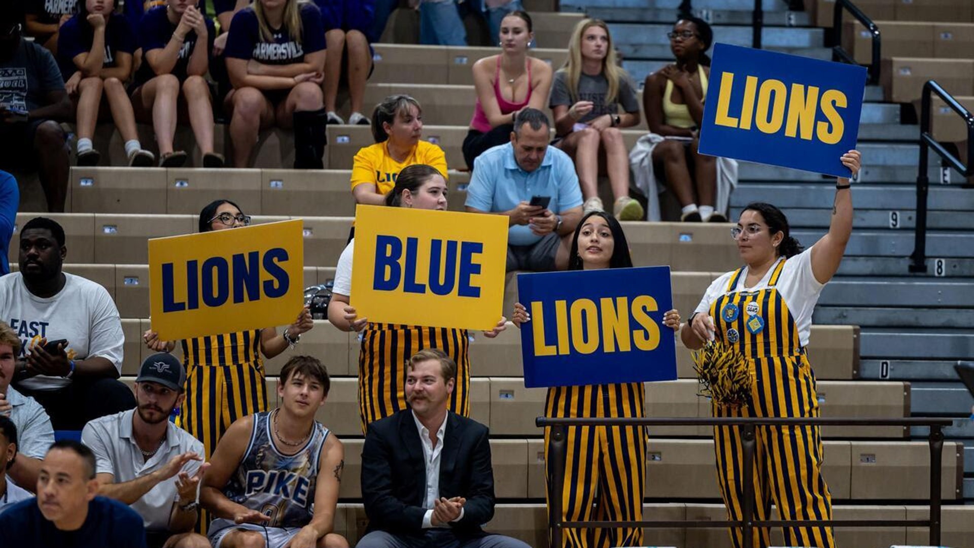Volleyball Fans