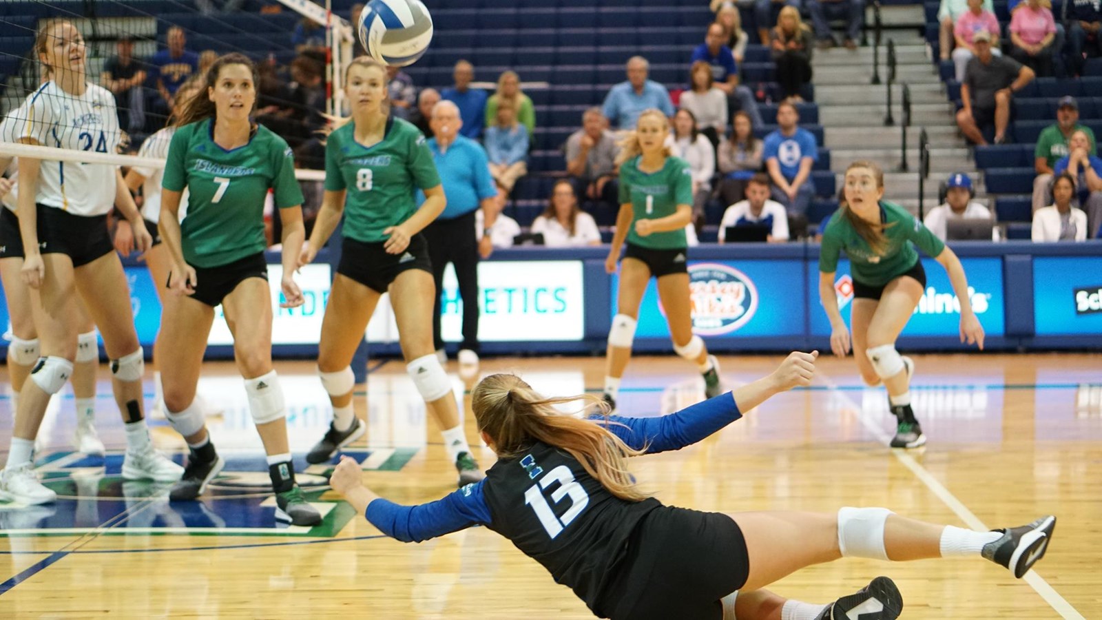 Kaylee Payne Volleyball Texas A&MCorpus Christi Athletics