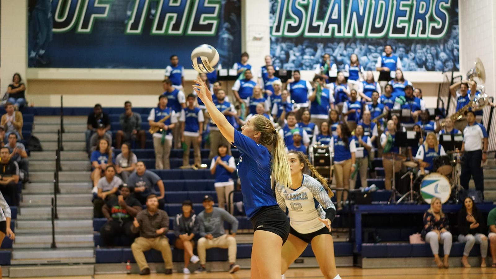 Kaylee Payne Volleyball Texas A&MCorpus Christi Athletics