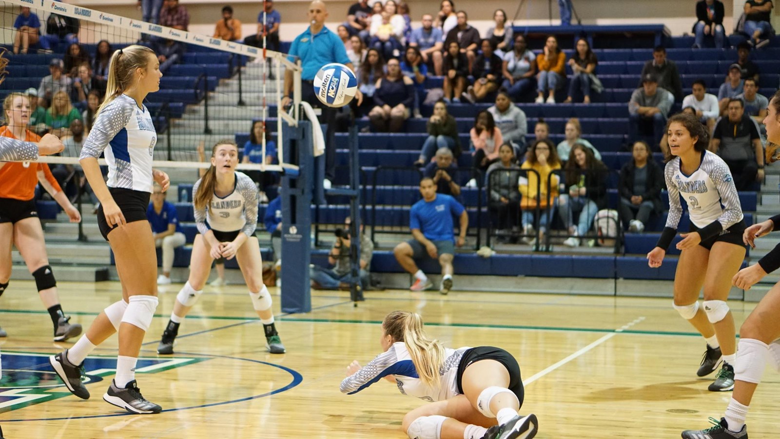 Kaylee Payne Volleyball Texas A&MCorpus Christi Athletics