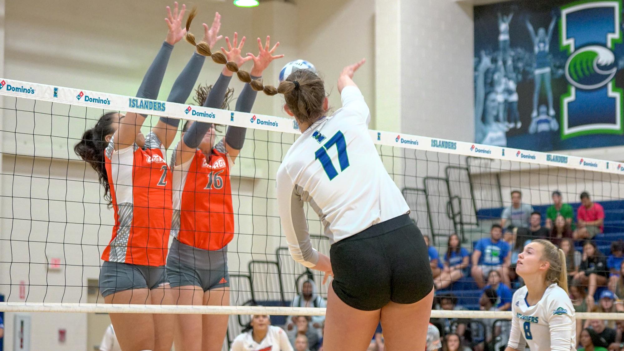 Julia Carter Volleyball Texas A&MCorpus Christi Athletics