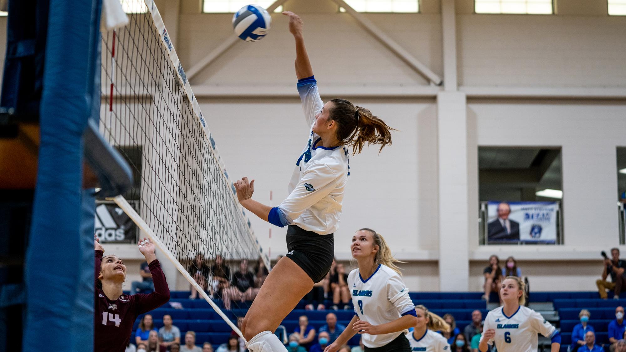 Julia Carter Volleyball Texas A&MCorpus Christi Athletics