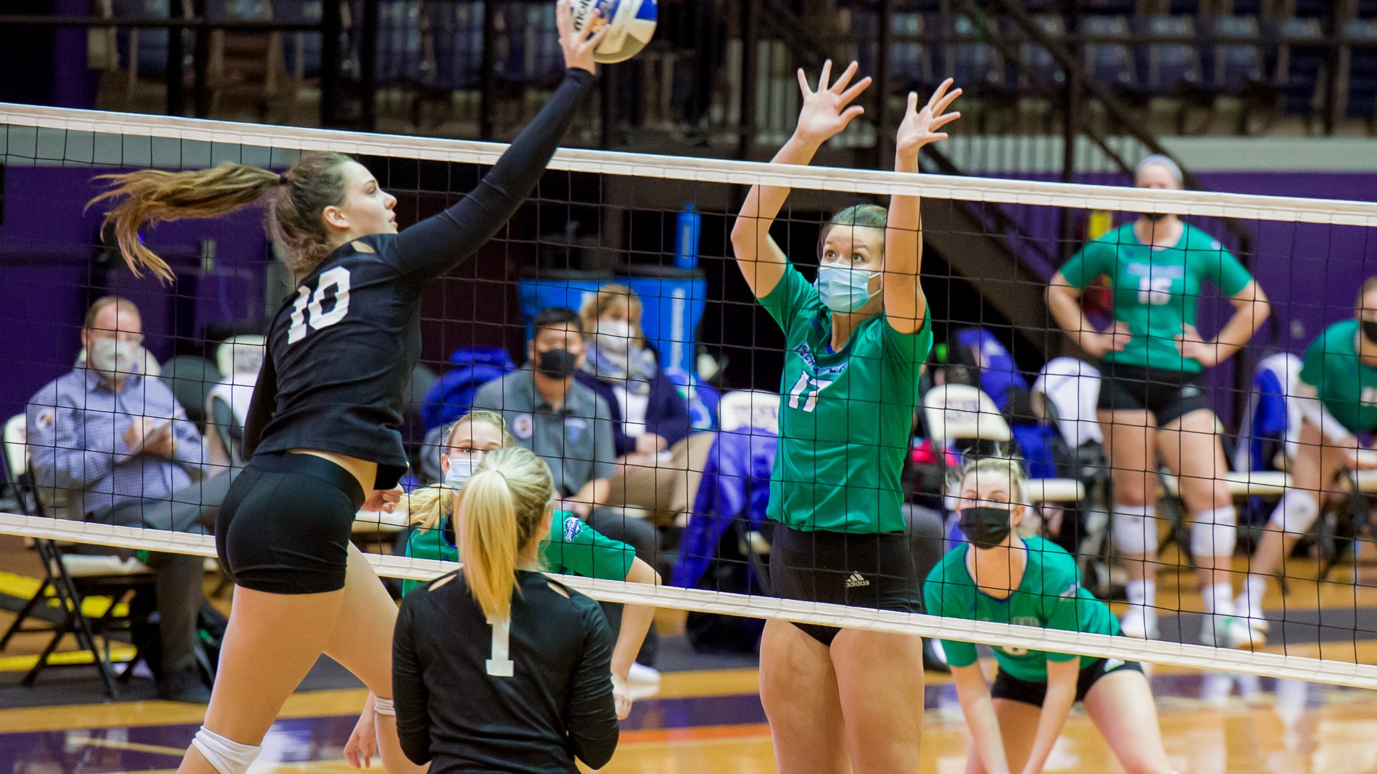 Julia Carter Volleyball Texas A&MCorpus Christi Athletics