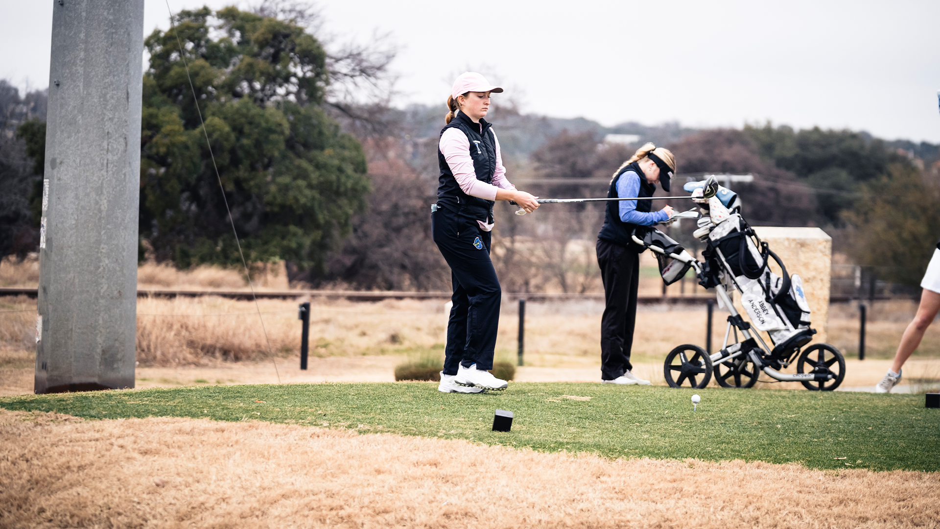 wgolf story pic