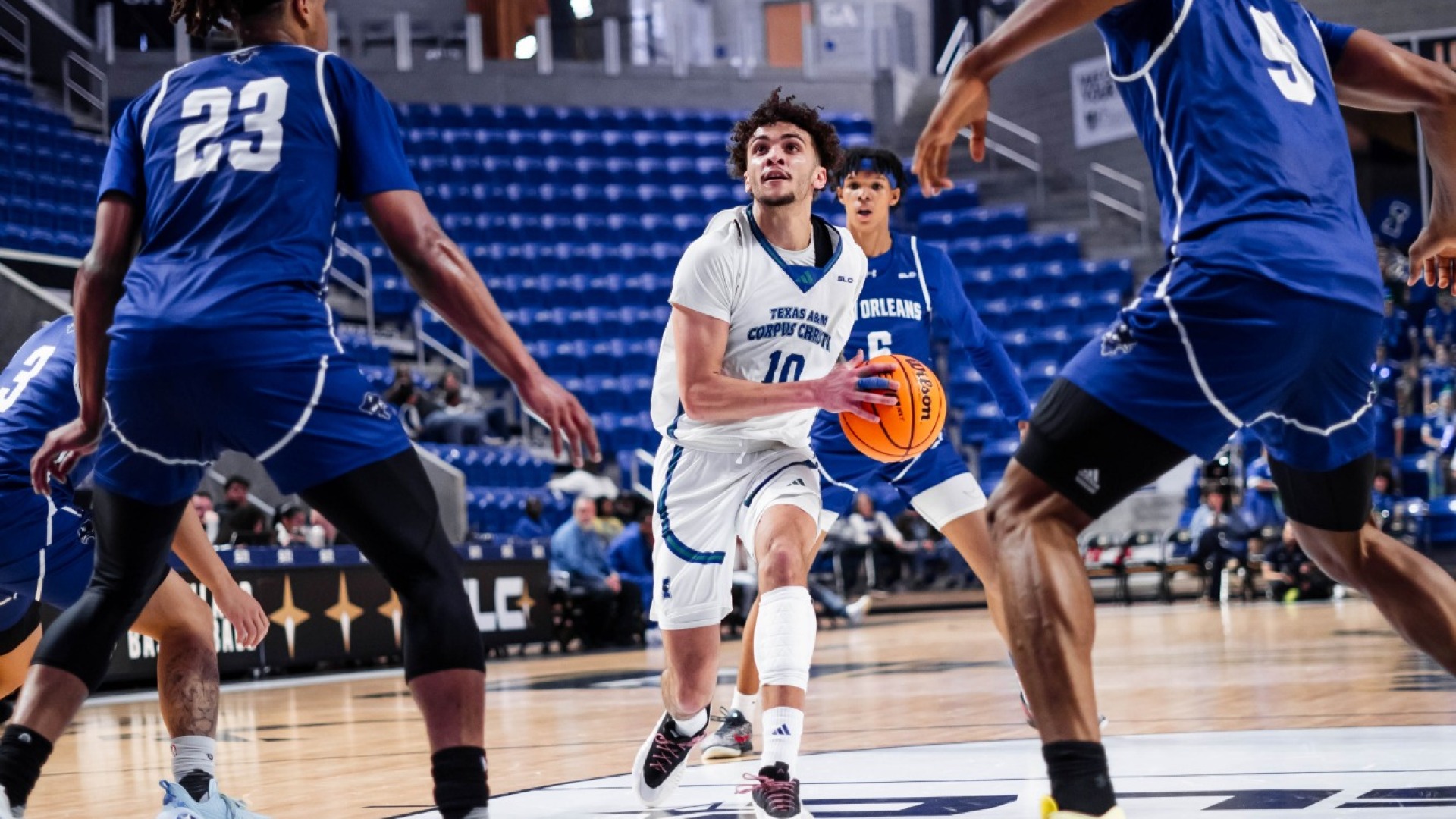 Daniel Michelini-Jackson