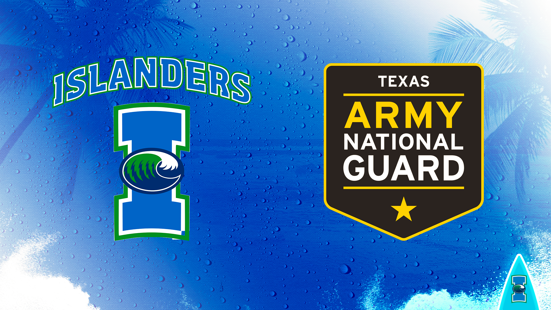 Texas Army National Guard Partnership