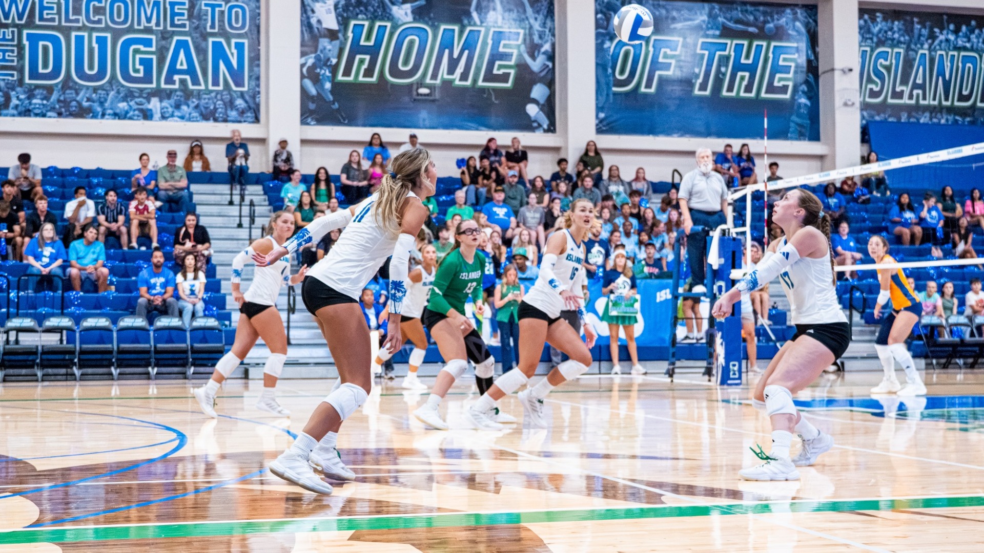 Volleyball