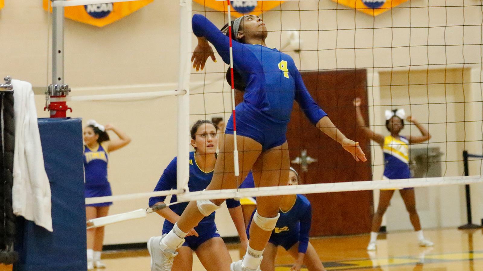 Melanie Casteel Women's Volleyball Texas A&M Kingsville Athletics