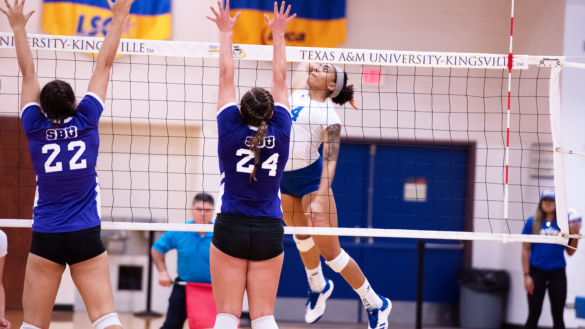 Melanie Casteel Women's Volleyball Texas A&M Kingsville Athletics