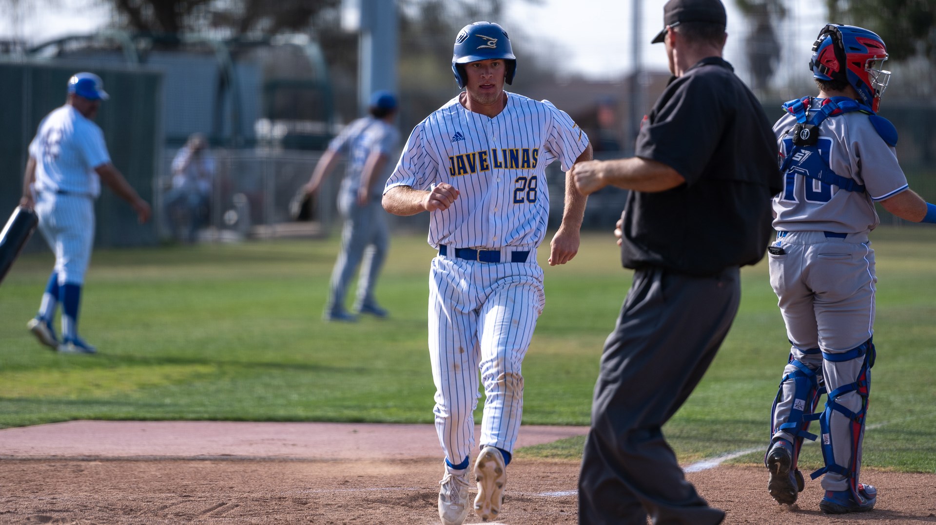 Jake Chapman Baseball Texas A&M Kingsville Athletics