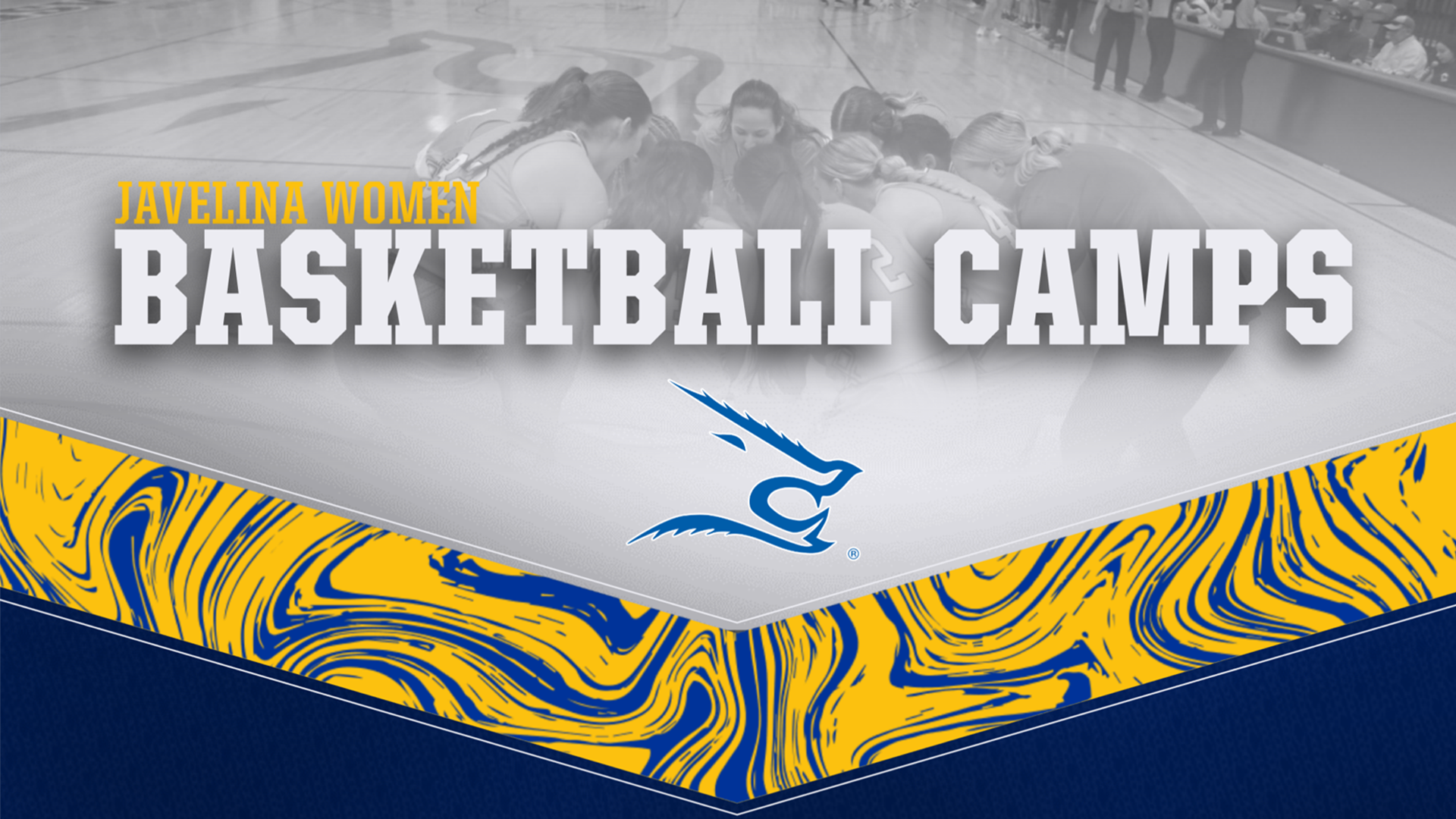 Women’s basketball picked to finish eighth in LSC preseason poll