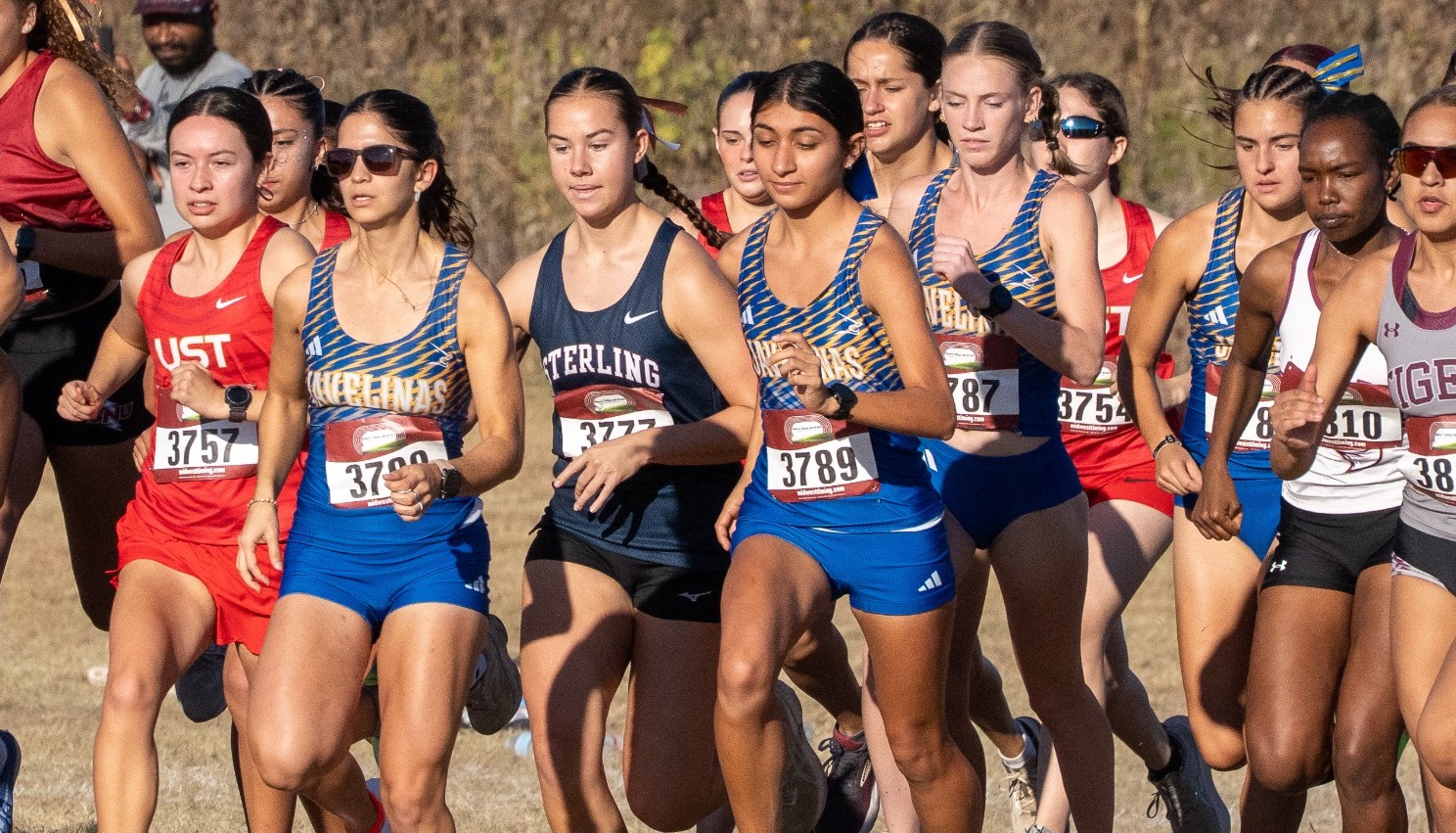 DBU Old Glory - CXC