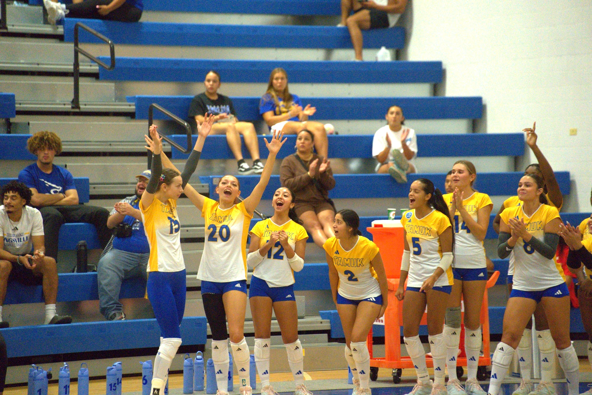 STMU Win