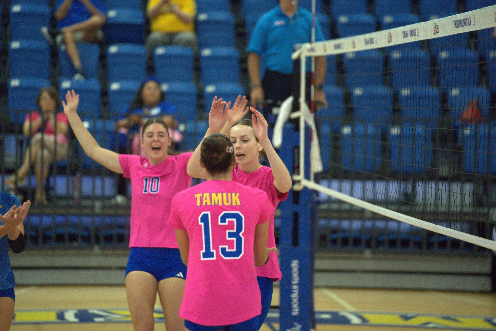 Dig Pink 26'