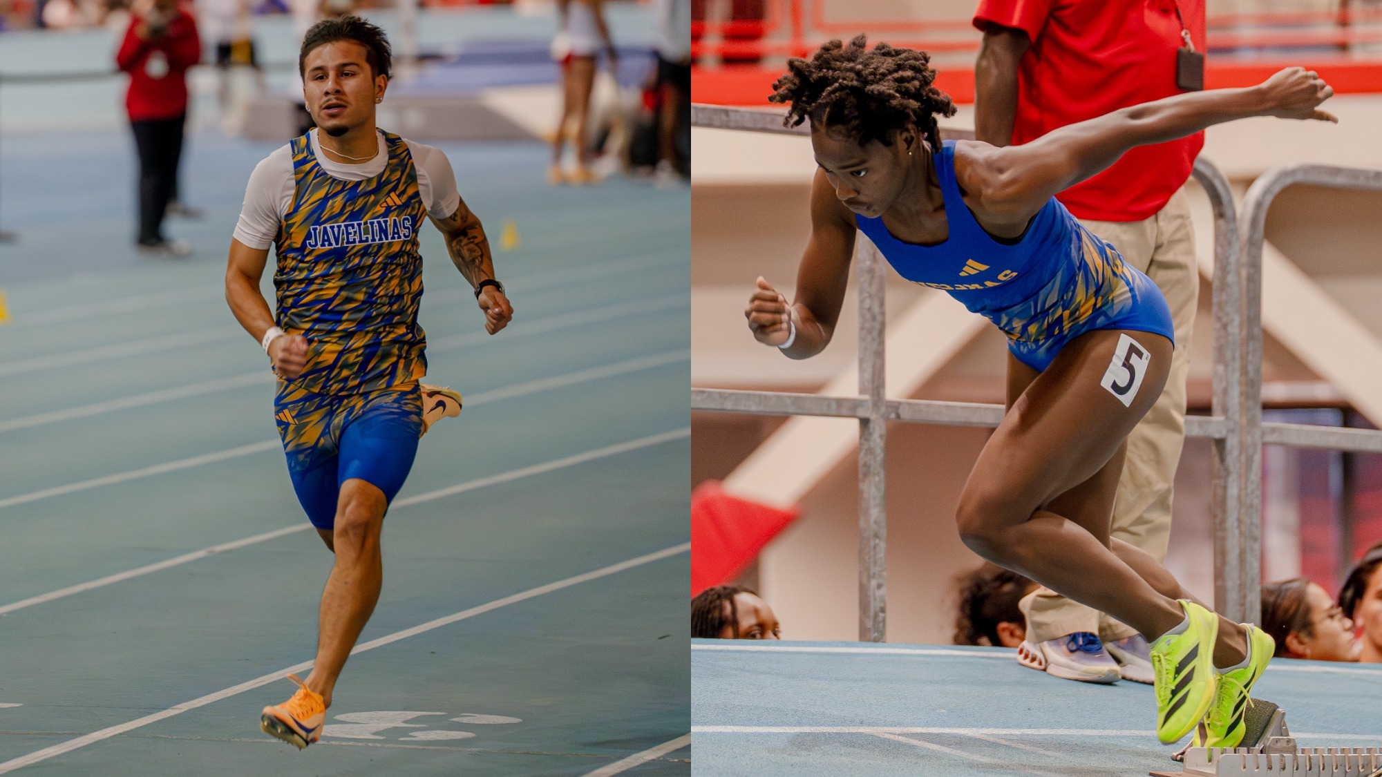 Split Oneika/Ausencio