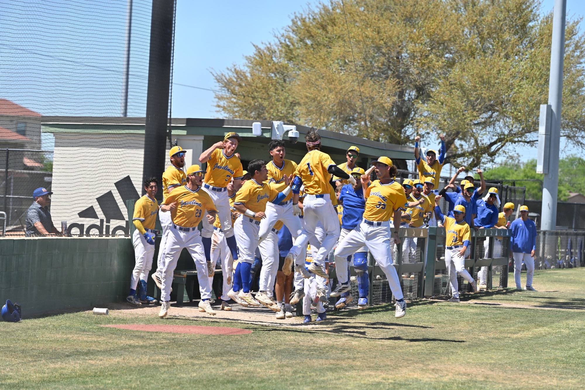 Home run celebration