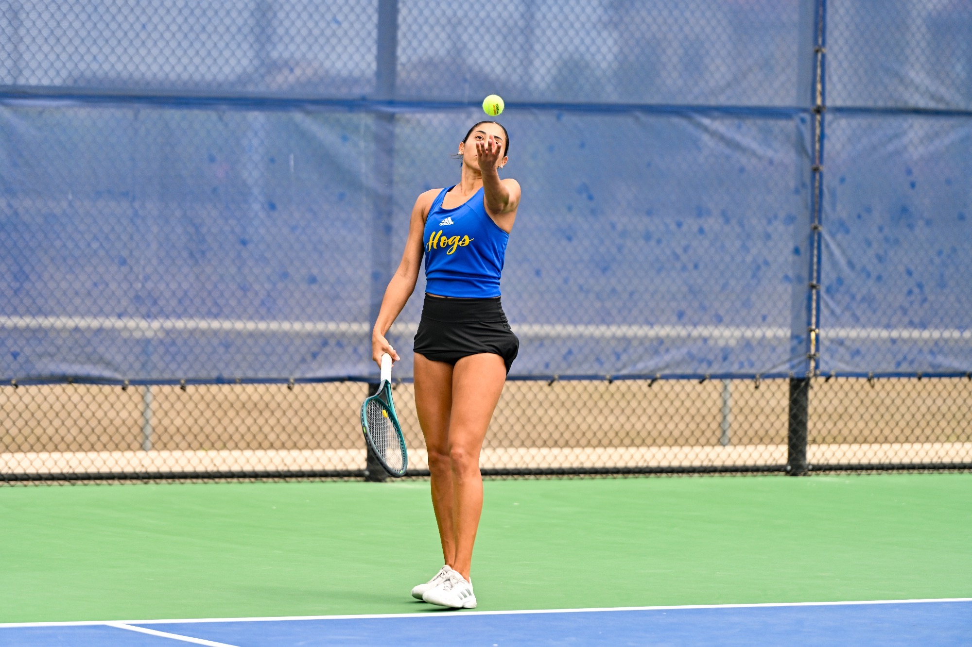 Guadalupe Tocci Service