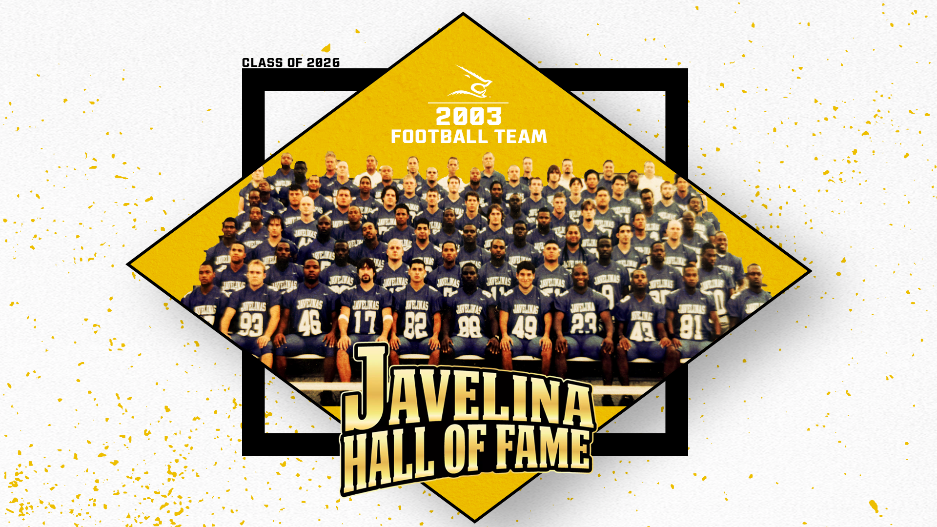 2003 Football Team announced to Hall of Fame