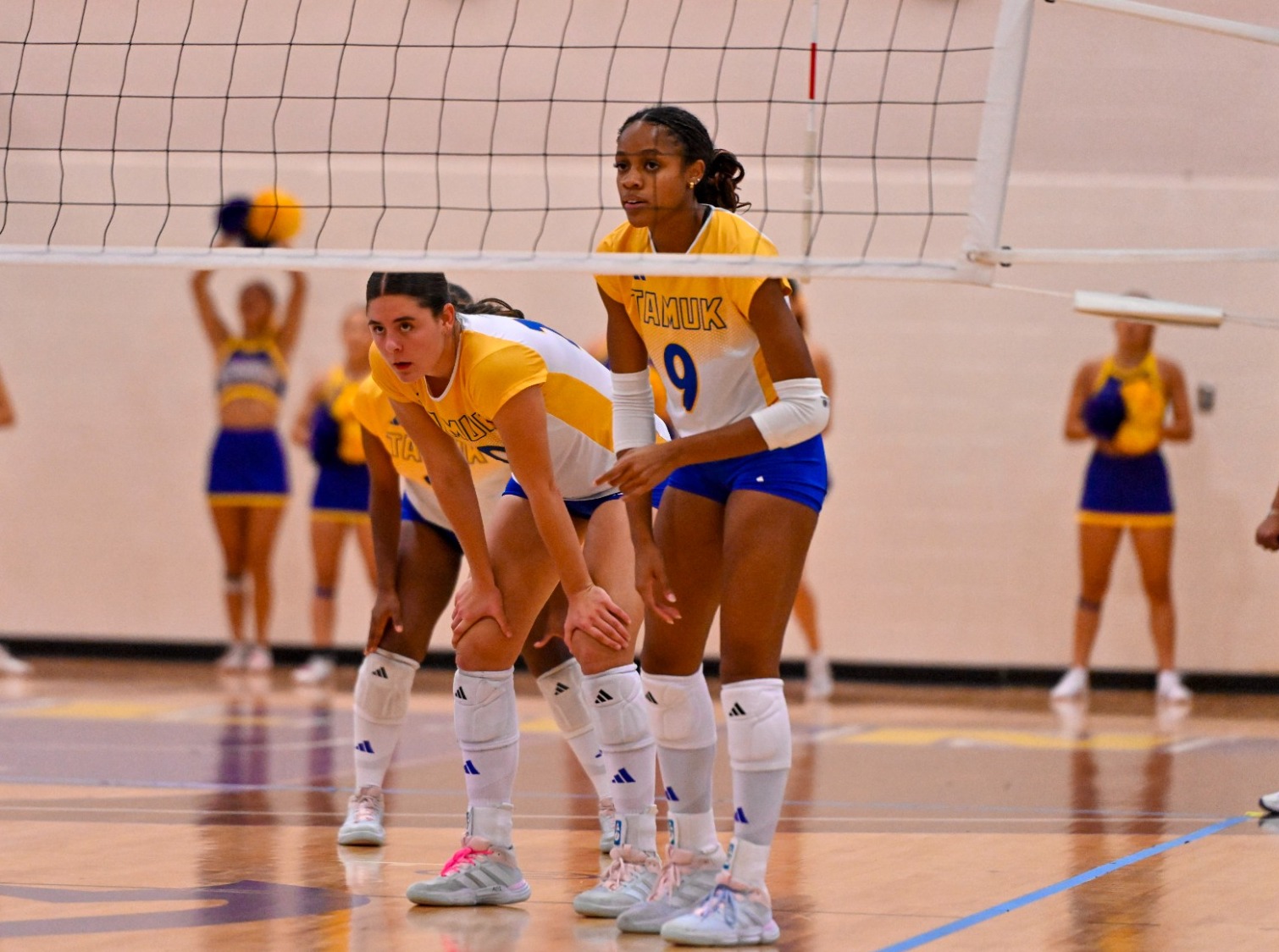 Cambelle and Karrington