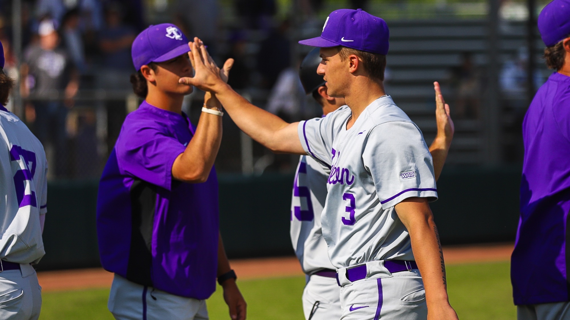 Braydon Risley - Baseball - Tarleton State University Athletics