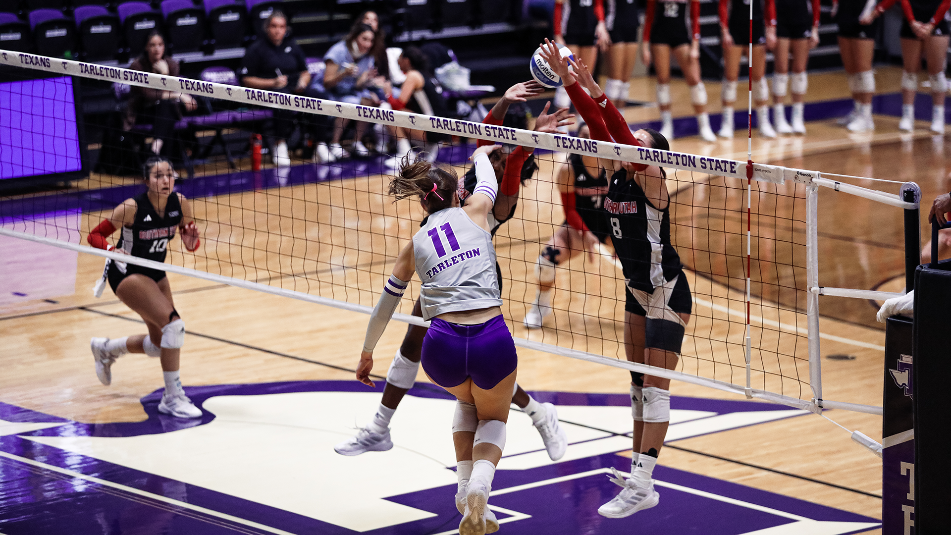 Tarleton State Men's Cross Country racing out of the starting line