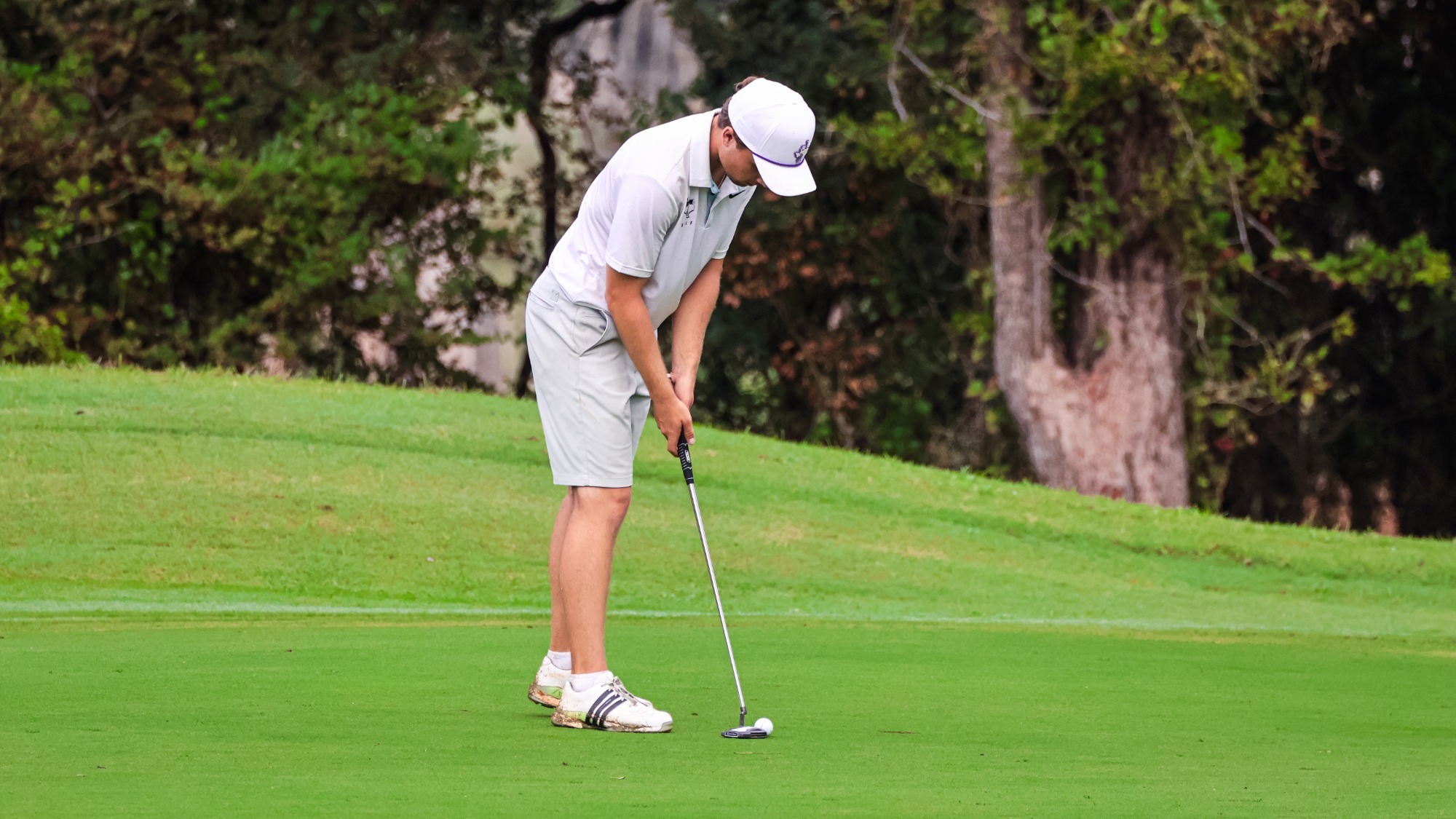 BjornstromFAUPreview