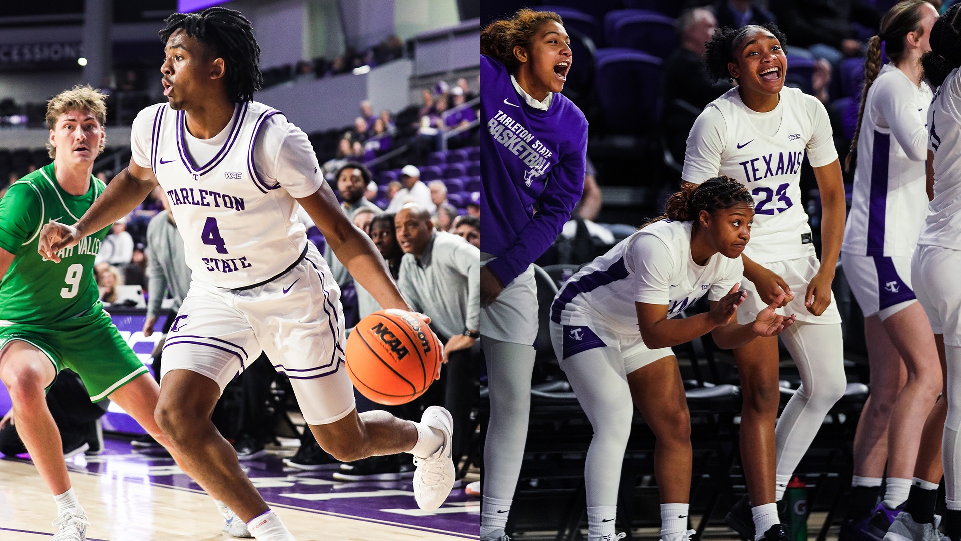 Tarleton State Basketball Games vs. Abilene Christian Postponed (Jan. 28, 2026)