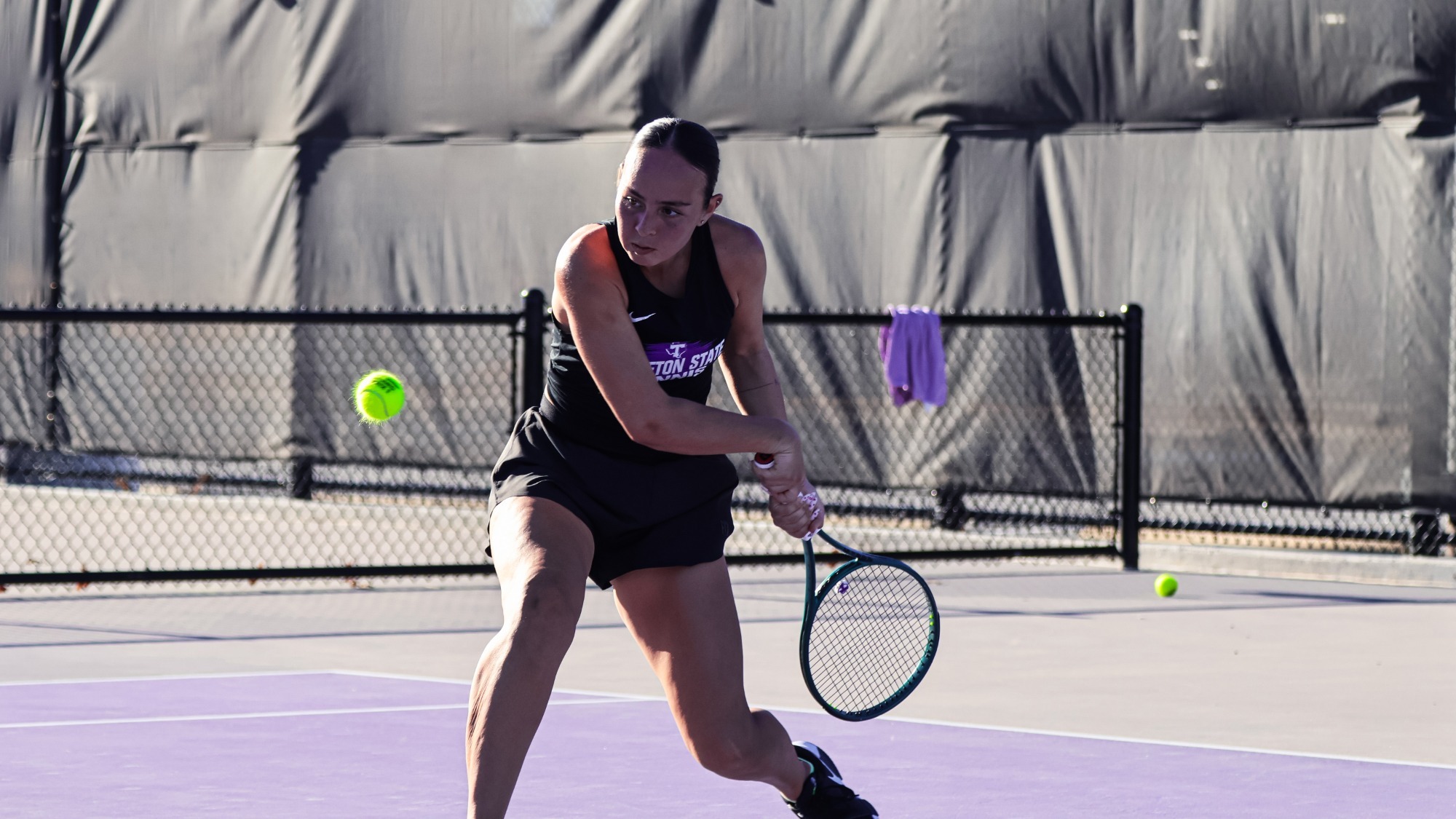 AdeleAppStatePreview