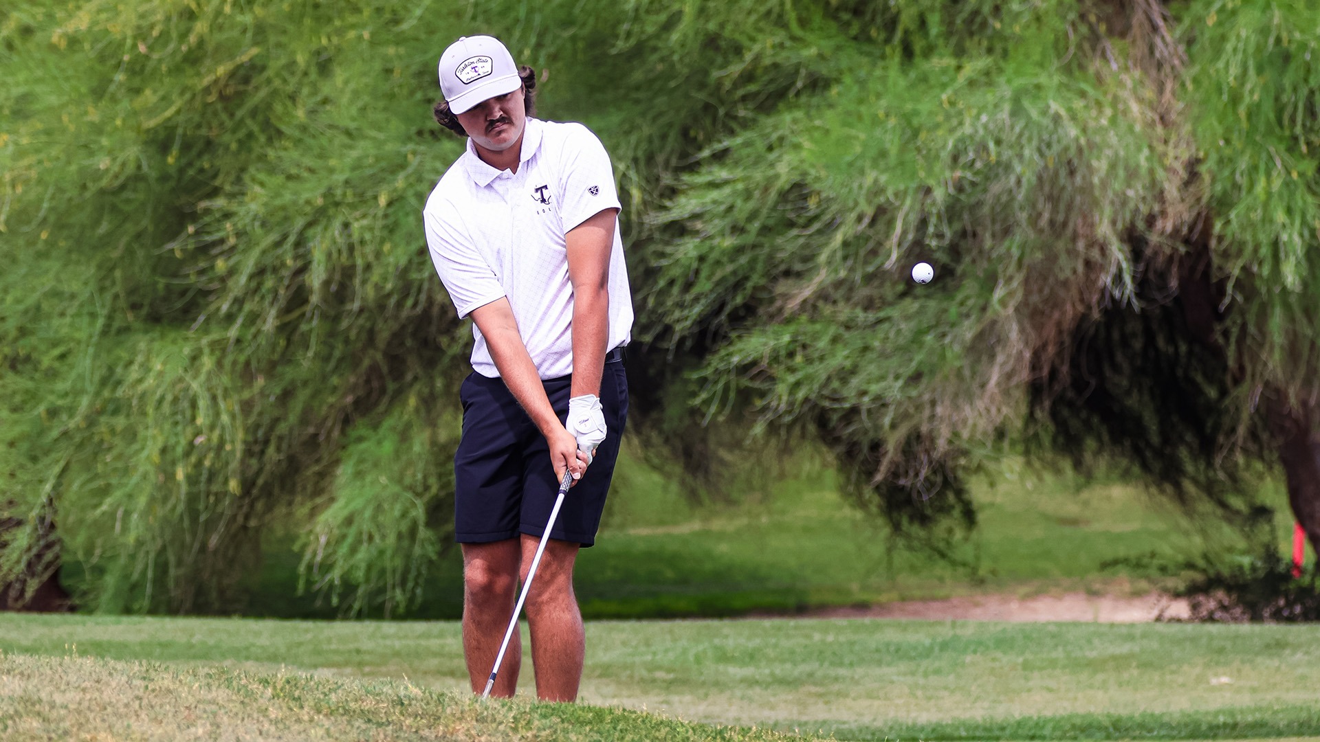 Tarleton State Men's Golf's Kellen Young (Photo Used Sept. 4, 2026)