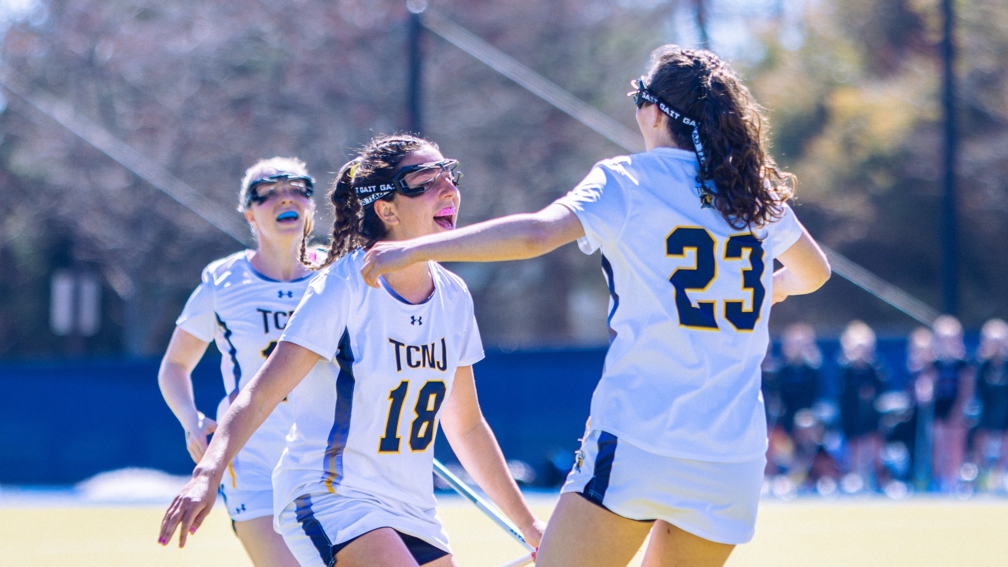 Marissa Lucca Celebration