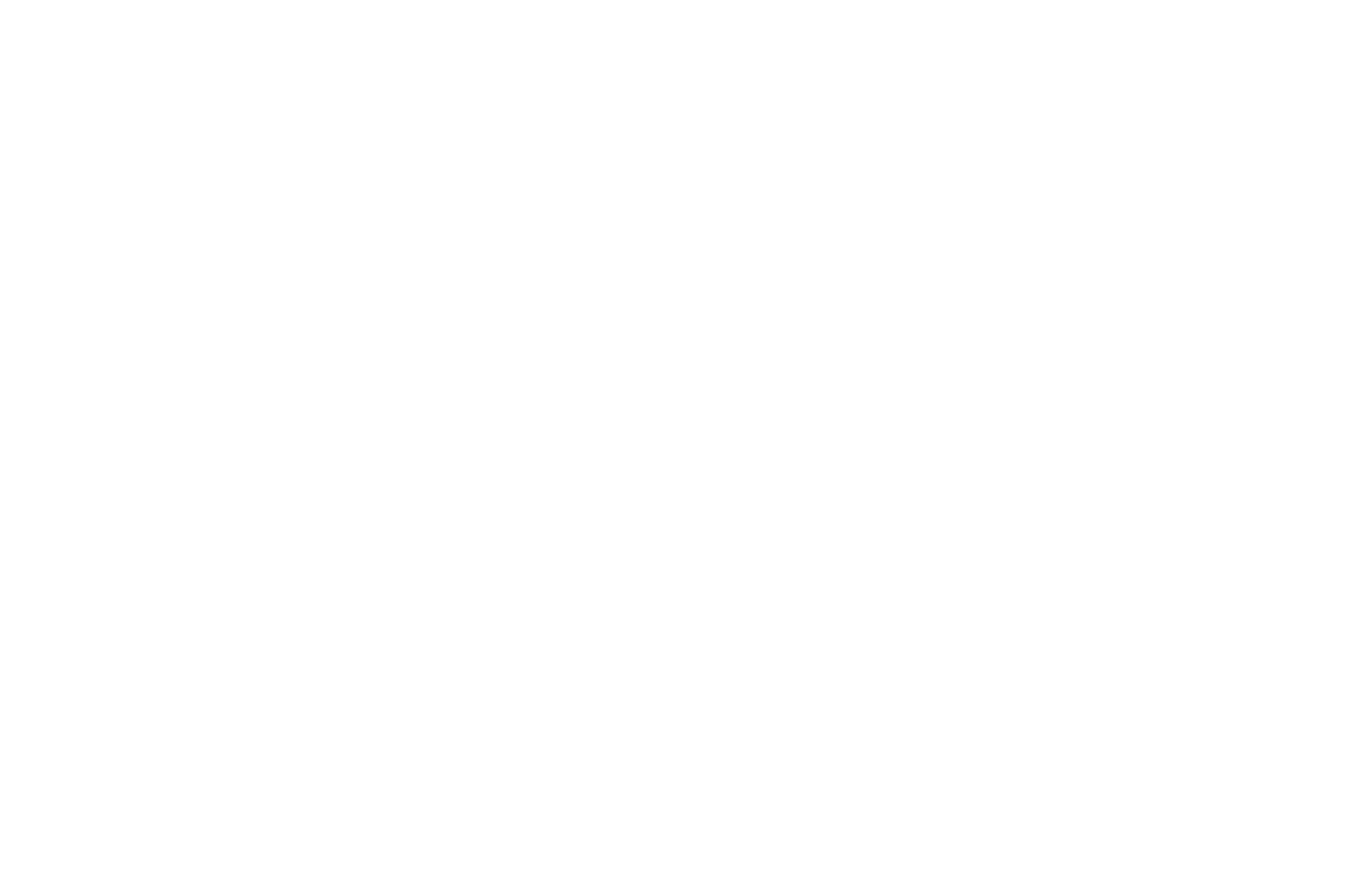 Bud Light