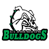 Opponent Logo
