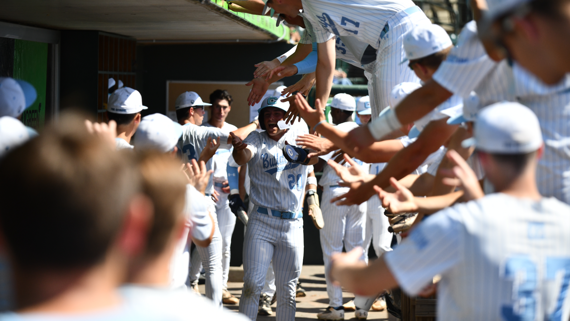 Dugout celebration