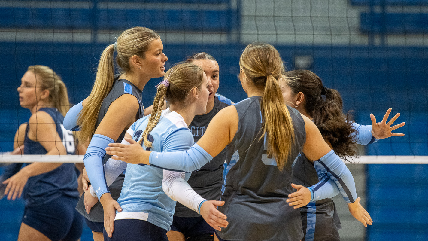VB - Schedule Release Action Shot