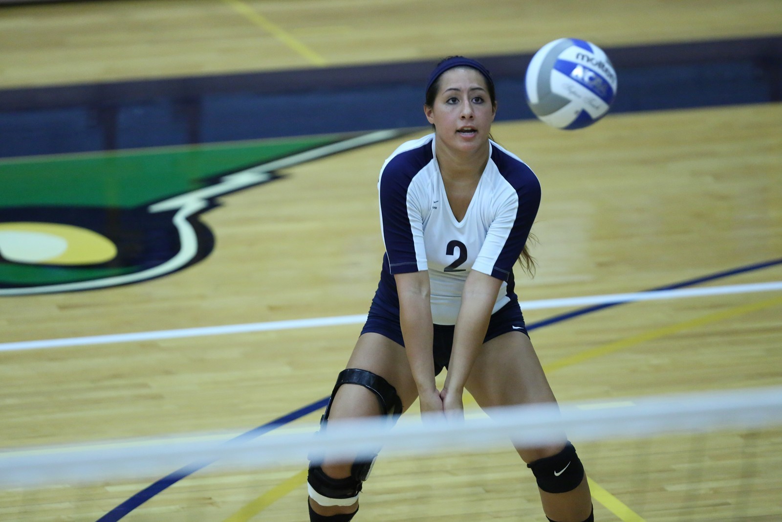 Megan Sweeny Women's Volleyball Thiel College Athletics