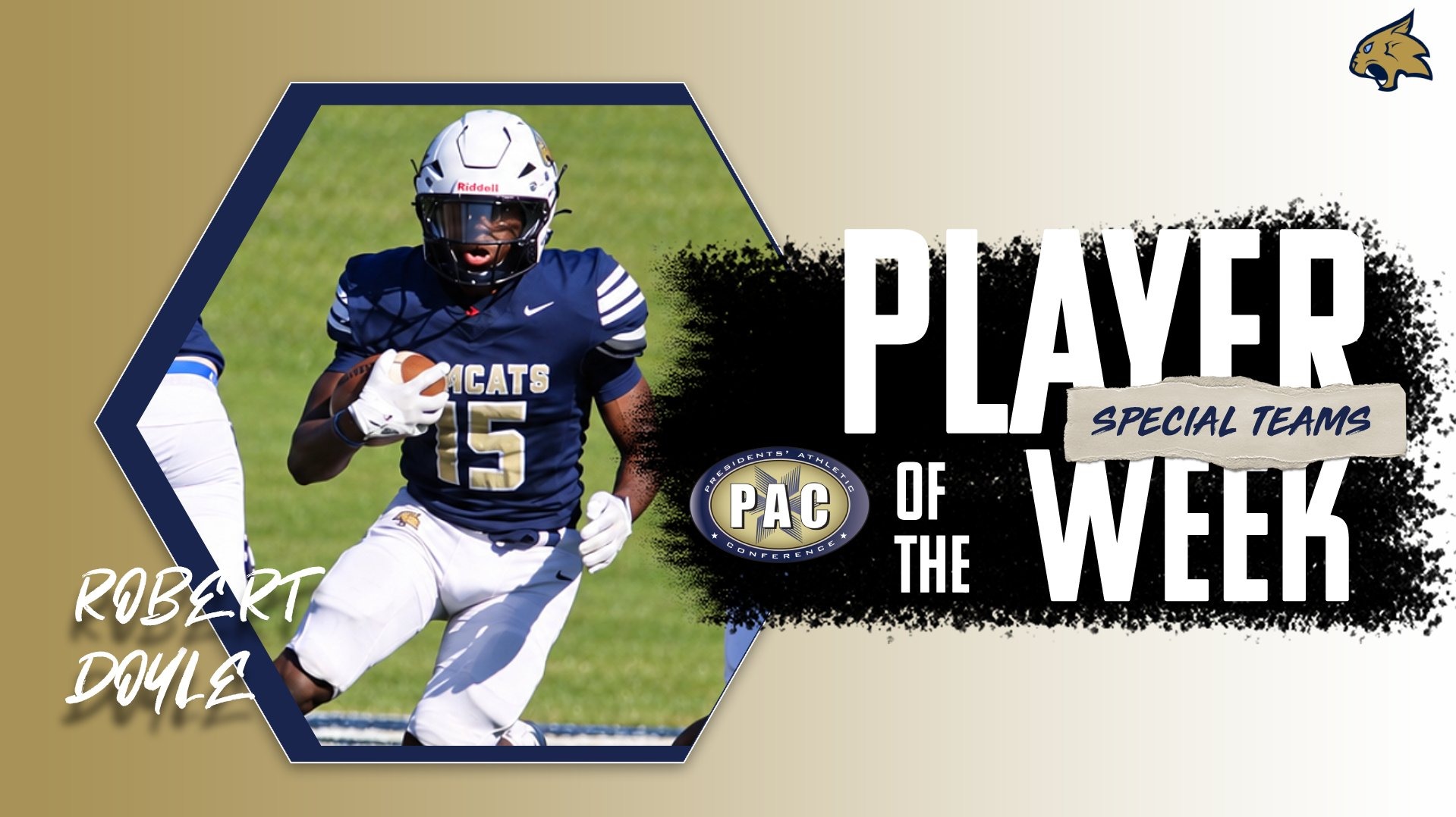 Doyle STPOTW Web