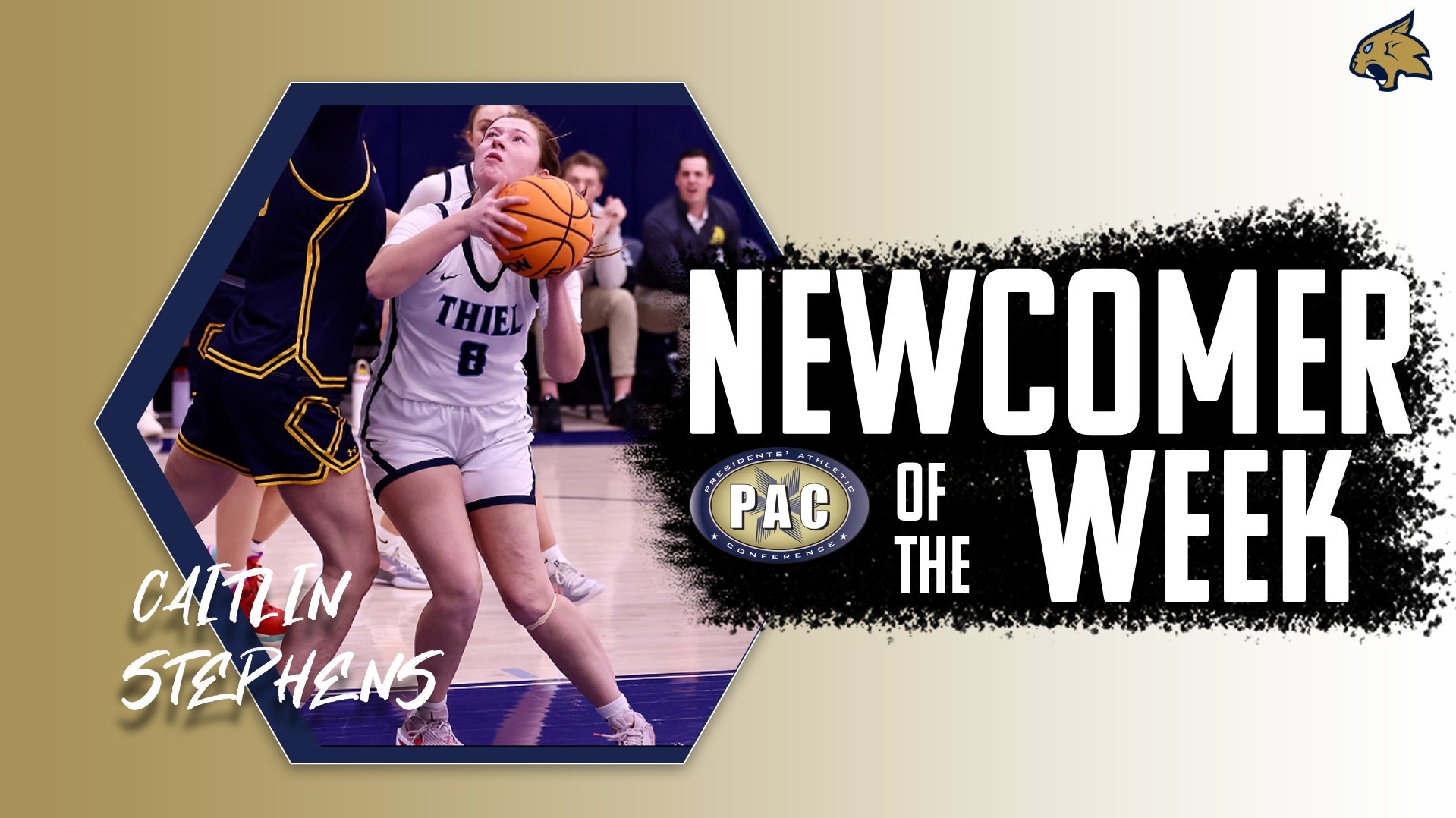 STEPHENS NEWCOMER WEB