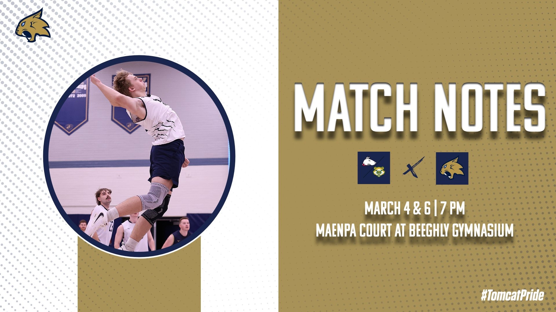 MVB HIR AND SVC MN WEB