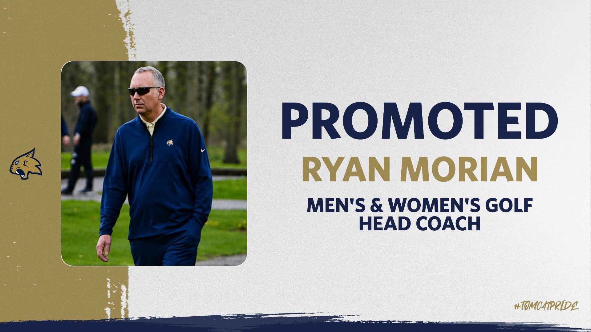 MORIAN PROMOTED WEB