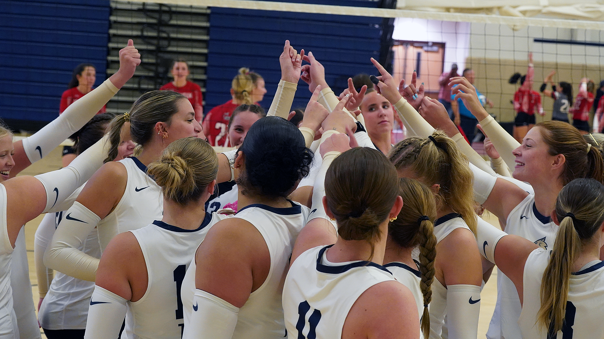 WVB Team
