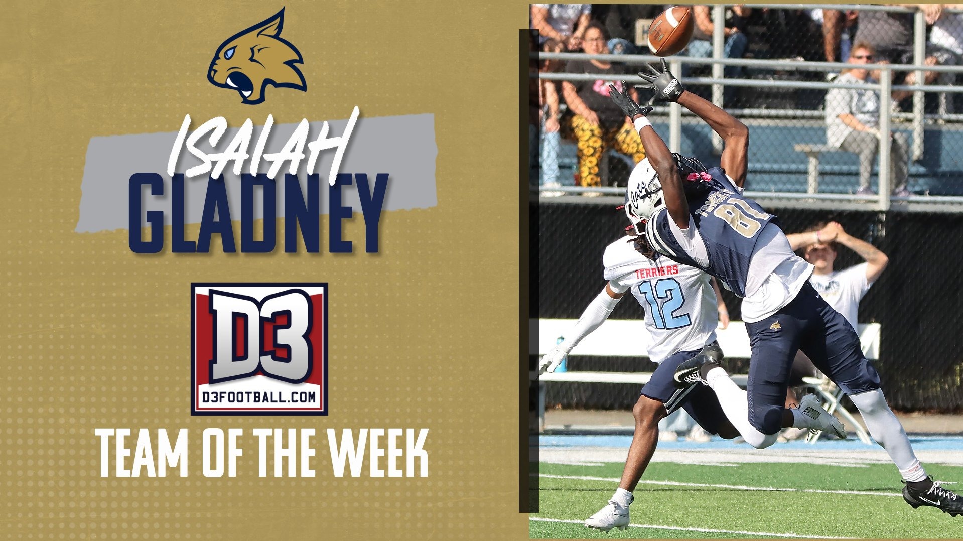 Gladney D3FB WEB FR