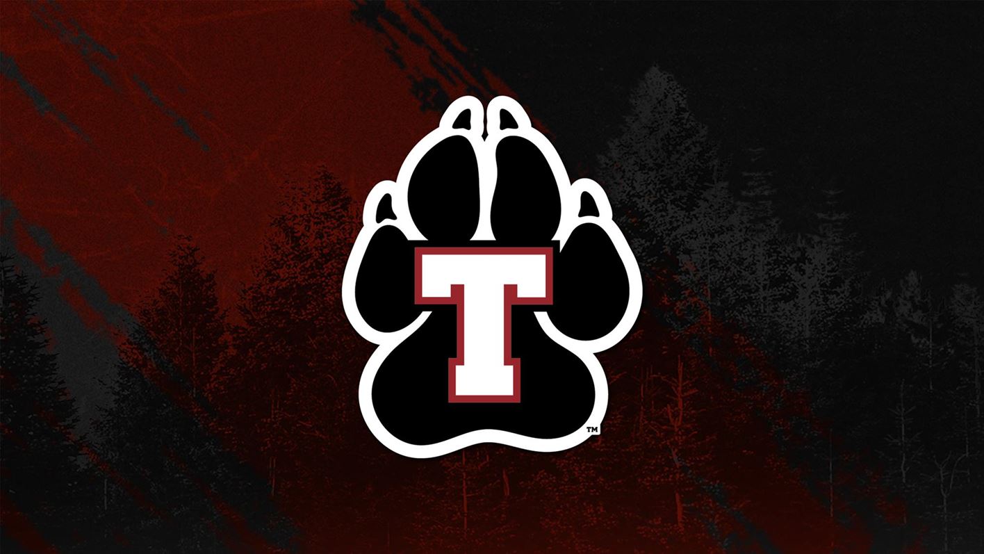 terrier logo