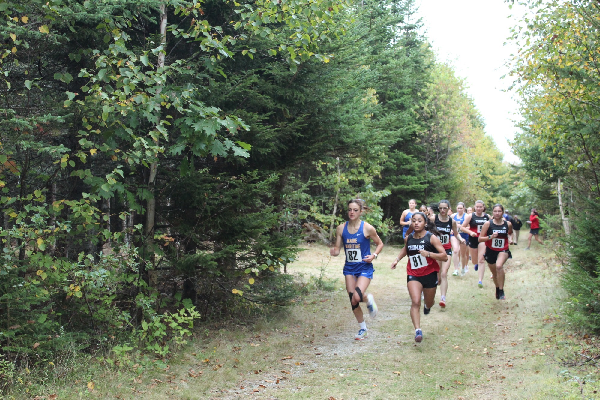 Maria Protheroe Action