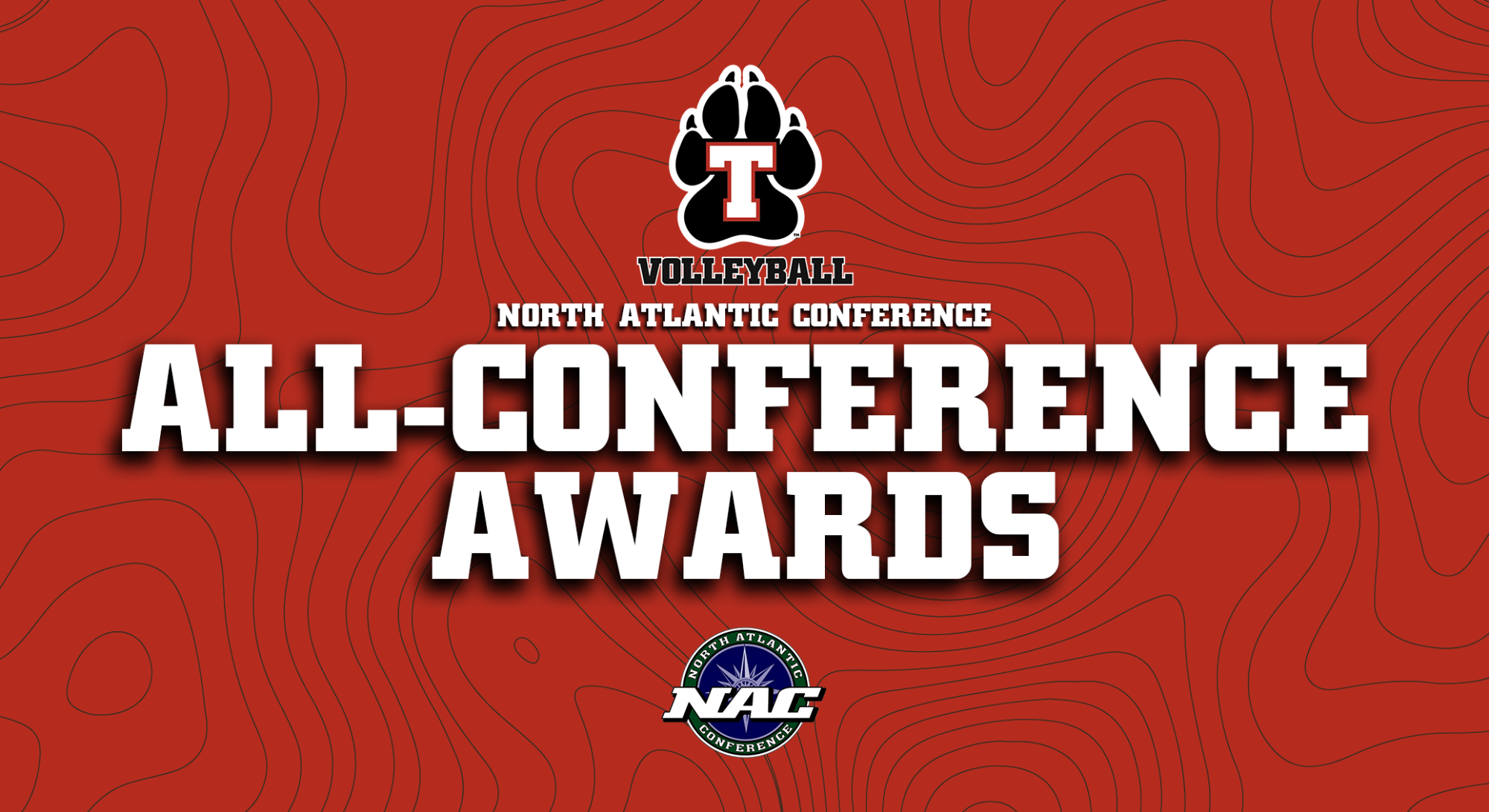 Volleyball All-Conference Header