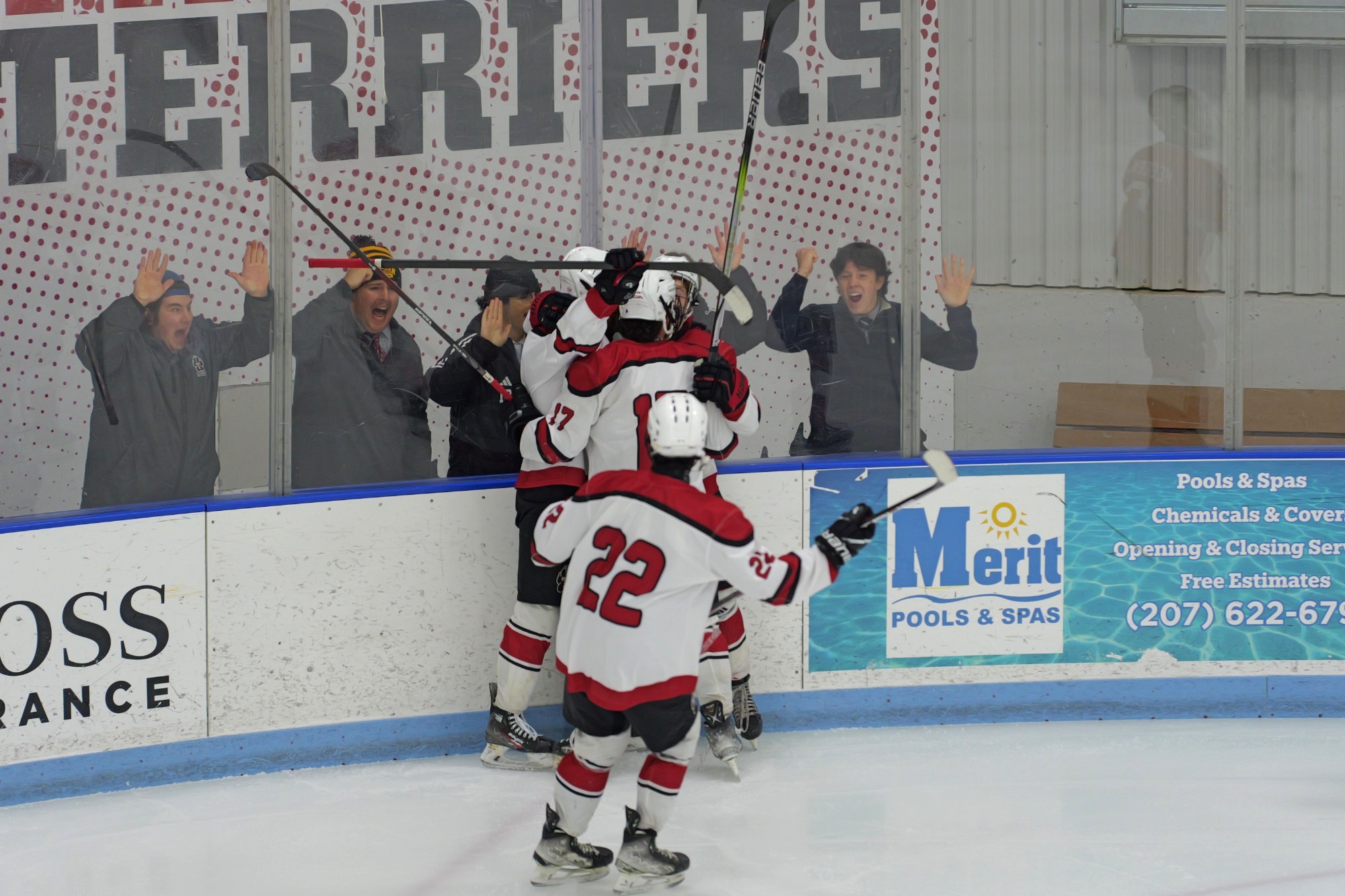Men's Ice Hockey Celebration